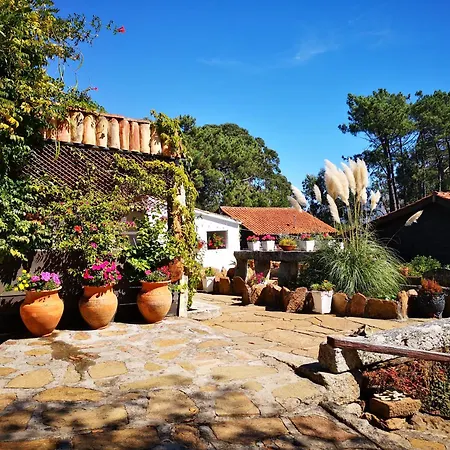 Holiday home Shakti Rio Mino Eiras, O Rosal