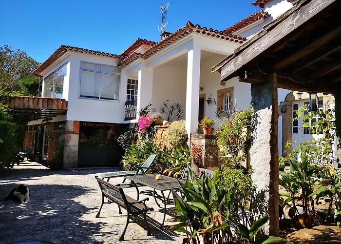 Shakti Rio Mino Eiras, O Rosal *